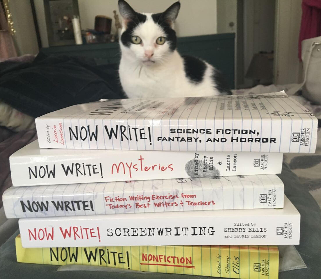Untitled Now Write! book stack